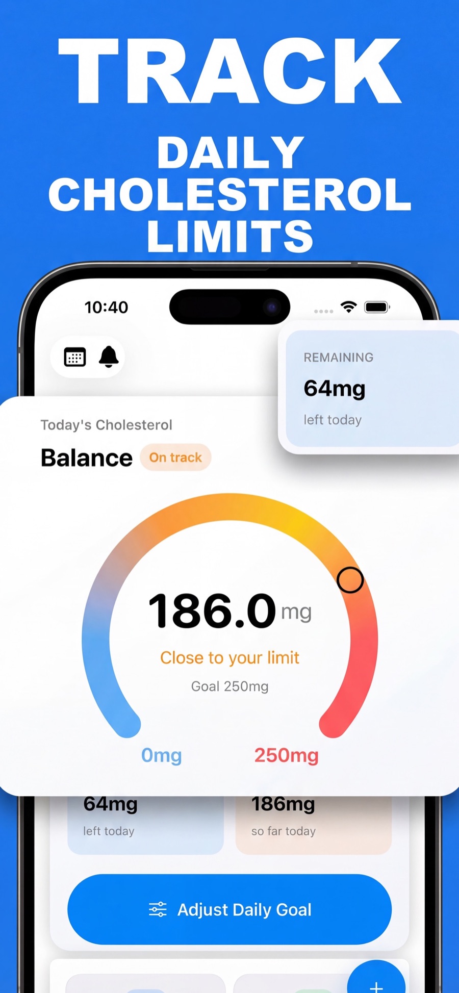 Cholesterol Tracker daily limit dashboard showing today's balance